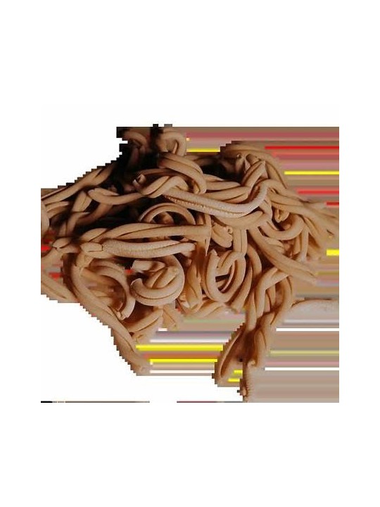 Włoski Makaron Casarecce Grano Duro Simeto 500g